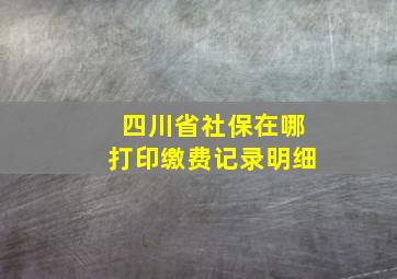 四川省社保在哪打印缴费记录明细