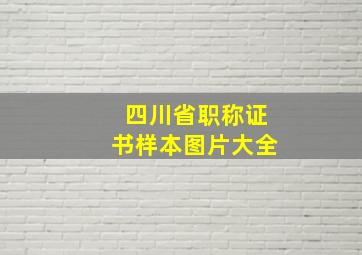 四川省职称证书样本图片大全