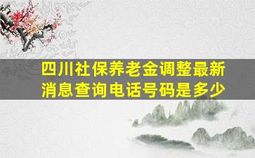 四川社保养老金调整最新消息查询电话号码是多少