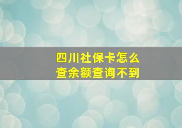 四川社保卡怎么查余额查询不到