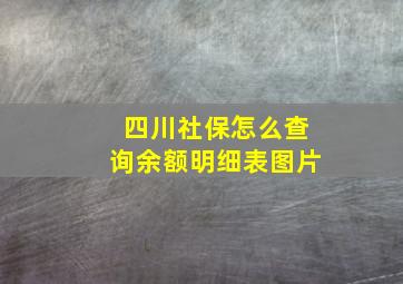 四川社保怎么查询余额明细表图片