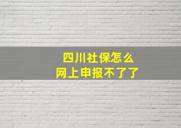 四川社保怎么网上申报不了了