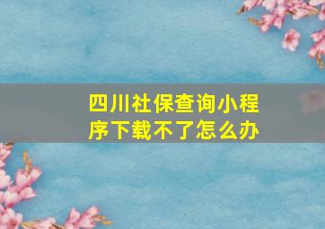 四川社保查询小程序下载不了怎么办