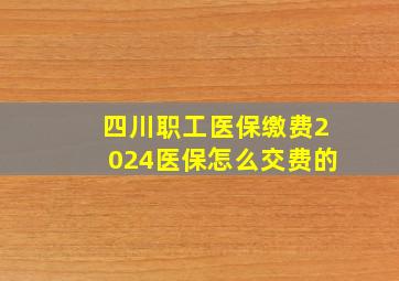 四川职工医保缴费2024医保怎么交费的