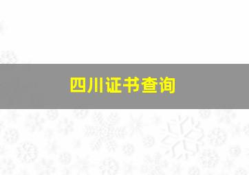 四川证书查询