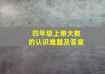 四年级上册大数的认识难题及答案