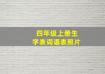 四年级上册生字表词语表照片