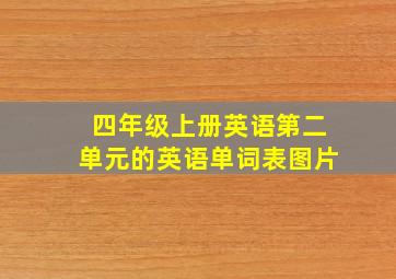 四年级上册英语第二单元的英语单词表图片