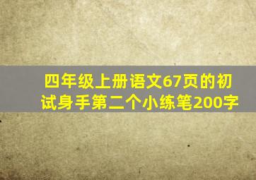 四年级上册语文67页的初试身手第二个小练笔200字