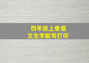 四年级上册语文生字默写打印