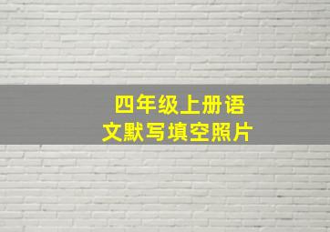 四年级上册语文默写填空照片