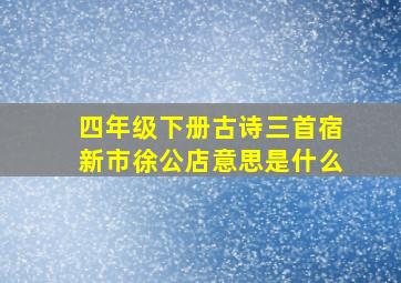 四年级下册古诗三首宿新市徐公店意思是什么