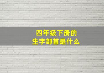 四年级下册的生字部首是什么