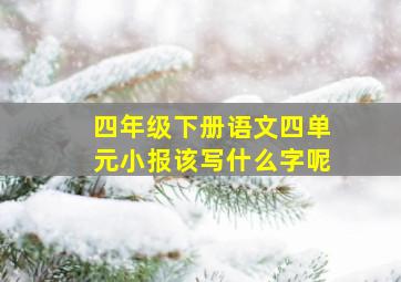 四年级下册语文四单元小报该写什么字呢