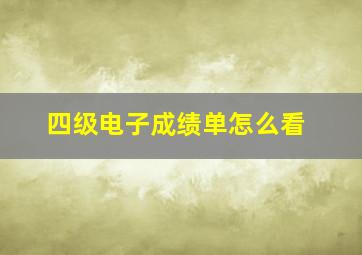 四级电子成绩单怎么看