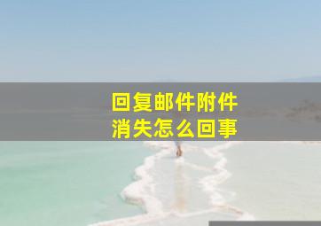 回复邮件附件消失怎么回事