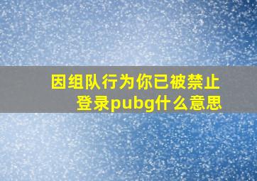 因组队行为你已被禁止登录pubg什么意思