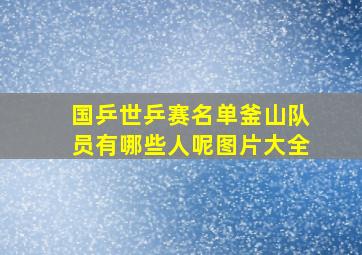 国乒世乒赛名单釜山队员有哪些人呢图片大全