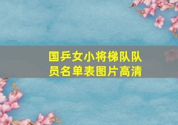 国乒女小将梯队队员名单表图片高清