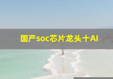 国产soc芯片龙头十AI