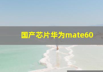 国产芯片华为mate60