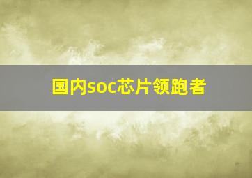 国内soc芯片领跑者