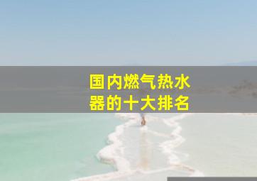 国内燃气热水器的十大排名