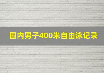 国内男子400米自由泳记录