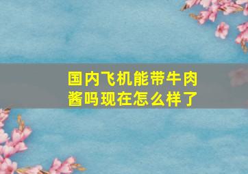 国内飞机能带牛肉酱吗现在怎么样了