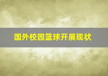 国外校园篮球开展现状