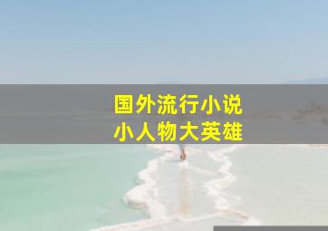 国外流行小说小人物大英雄