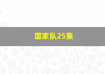 国家队25集