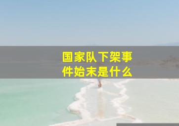 国家队下架事件始末是什么