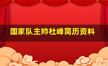 国家队主帅杜峰简历资料