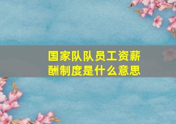 国家队队员工资薪酬制度是什么意思