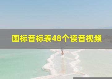 国标音标表48个读音视频