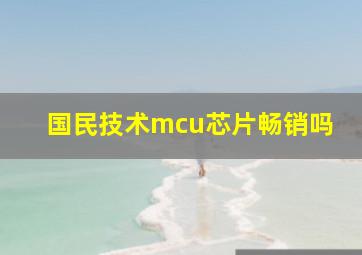 国民技术mcu芯片畅销吗