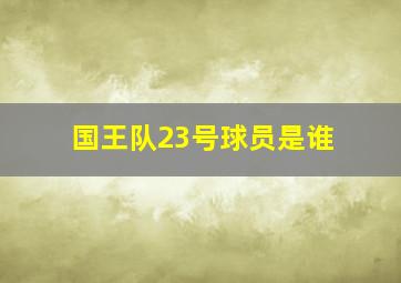 国王队23号球员是谁