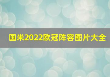 国米2022欧冠阵容图片大全