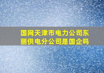 国网天津市电力公司东丽供电分公司是国企吗