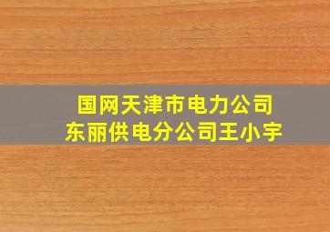 国网天津市电力公司东丽供电分公司王小宇