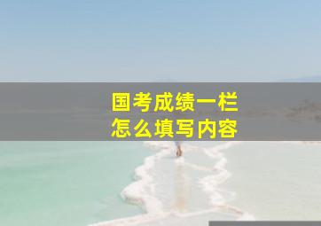 国考成绩一栏怎么填写内容