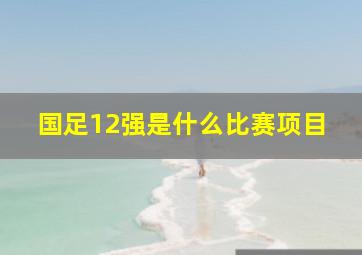 国足12强是什么比赛项目