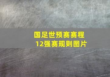 国足世预赛赛程12强赛规则图片