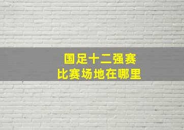 国足十二强赛比赛场地在哪里