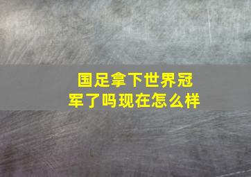 国足拿下世界冠军了吗现在怎么样