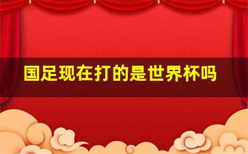 国足现在打的是世界杯吗