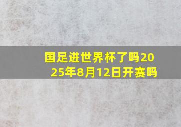 国足进世界杯了吗2025年8月12日开赛吗