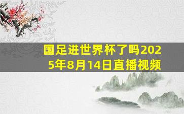 国足进世界杯了吗2025年8月14日直播视频