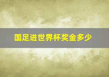 国足进世界杯奖金多少